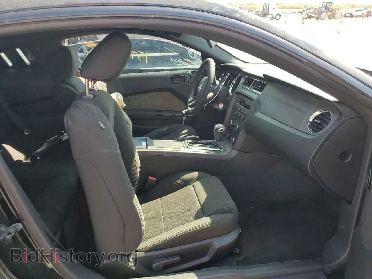 2011 FORD MUSTANG - VIN: 1ZVBP8AM2B5136671 - Фото 5