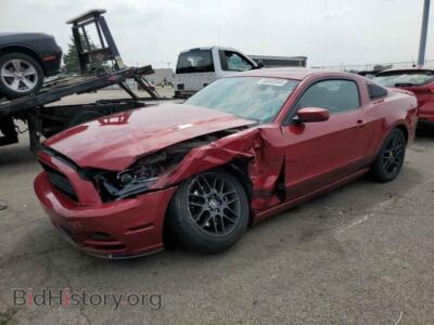 2014 Ford ALL MODELS, red — VIN 1ZVBP8AM0E5263021, Copart