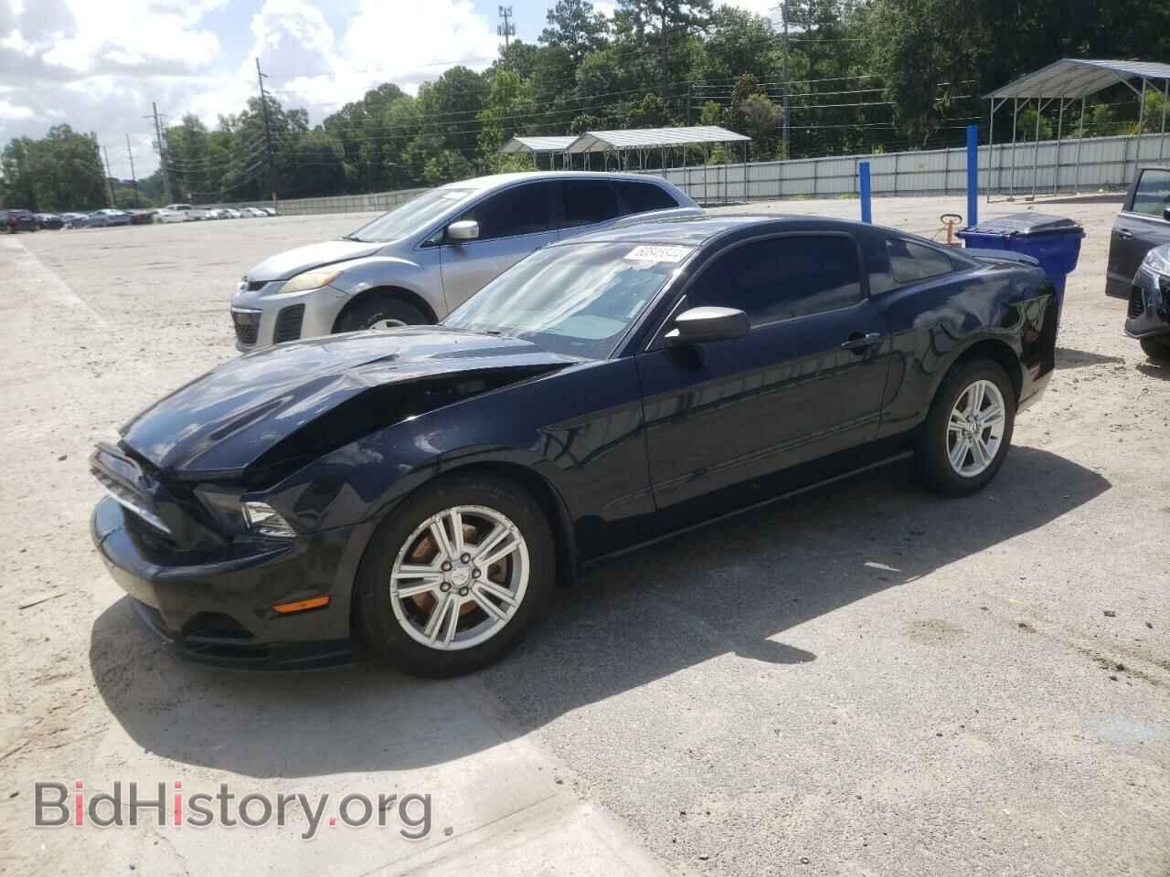 Photo 1ZVBP8AM8D5230895 - FORD ALL Models 2013