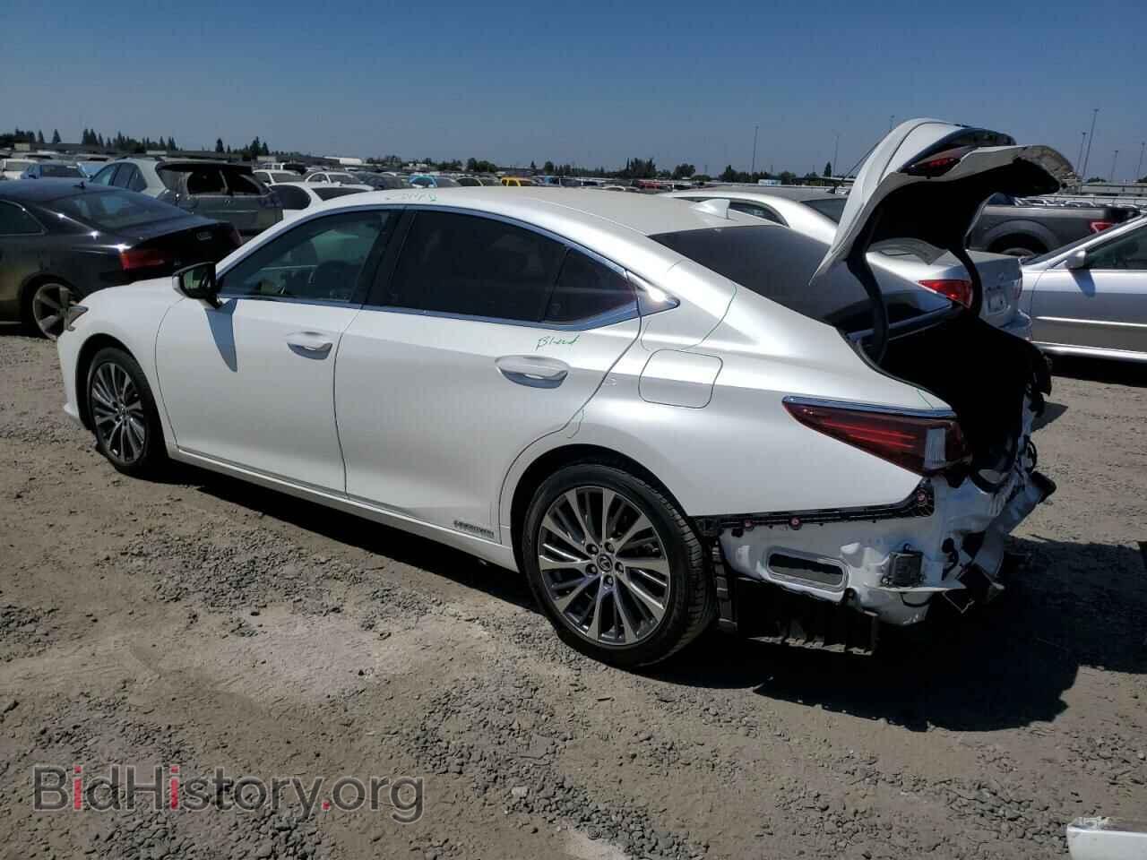 2019 LEXUS ES300 - VIN: JTHB21B17K2008231 - Фото 2