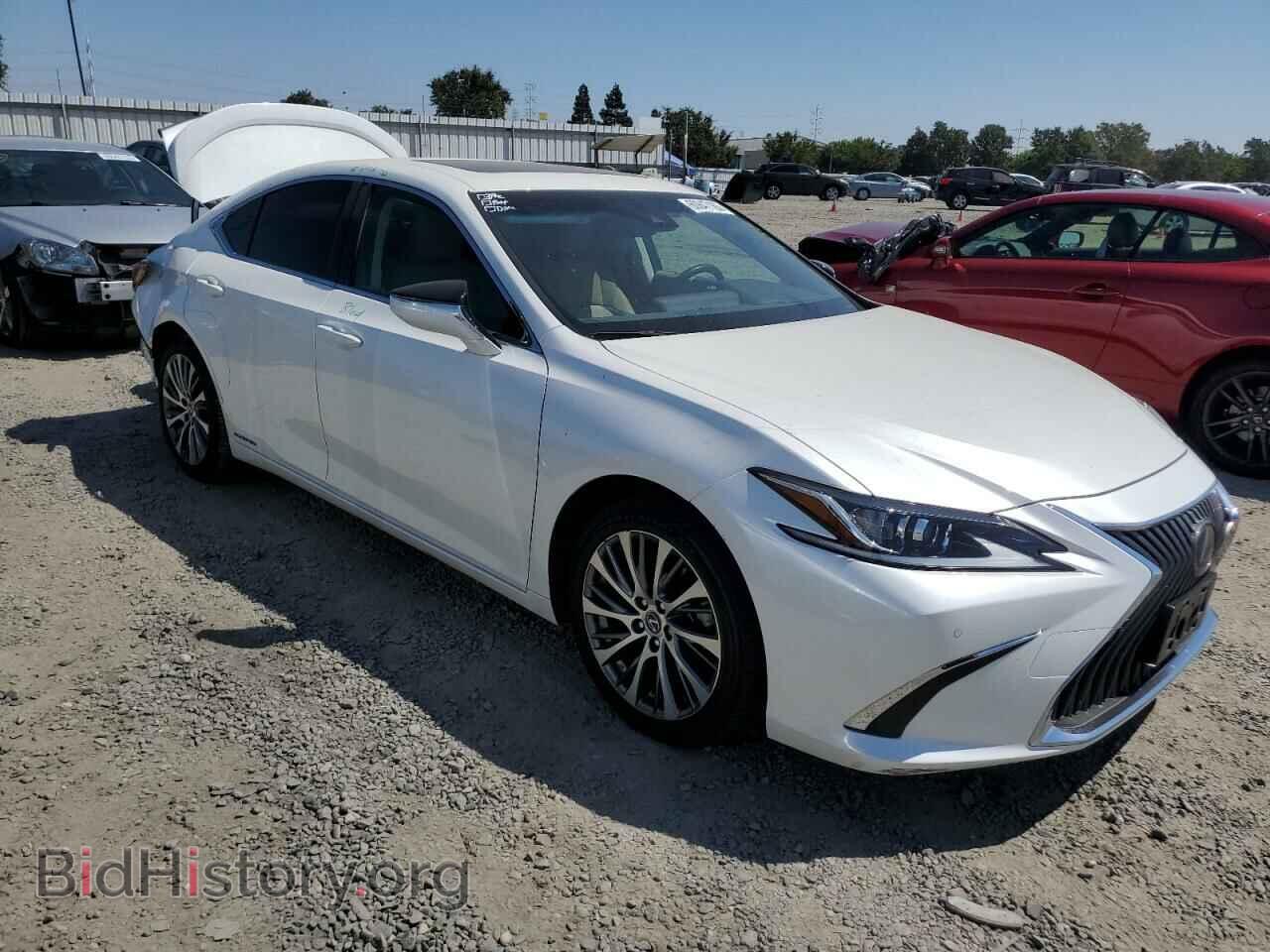 2019 LEXUS ES300 - VIN: JTHB21B17K2008231 - Фото 4
