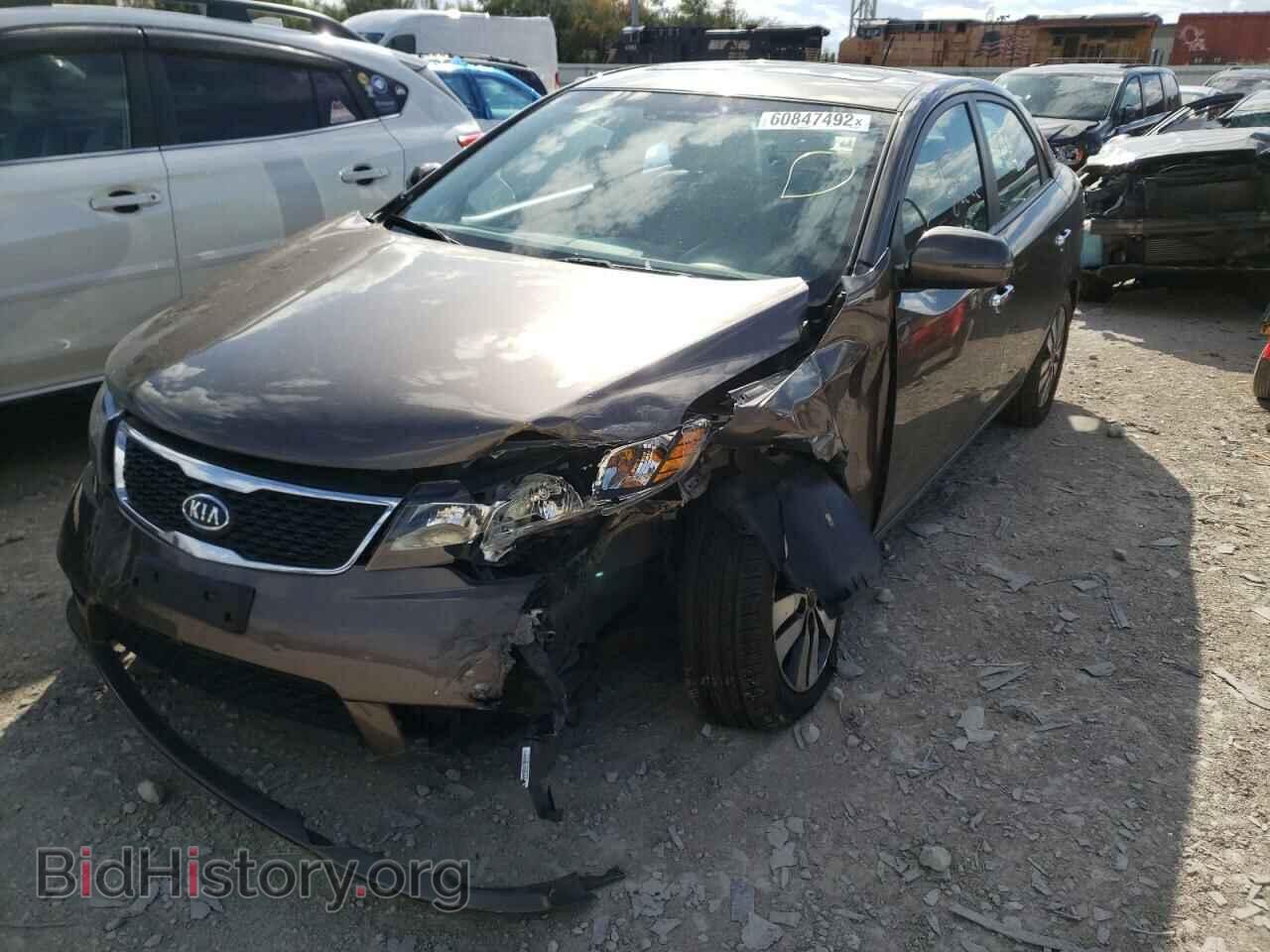 2013 KIA FORTE - VIN: KNAFU4A26D5698562 - Фото 2