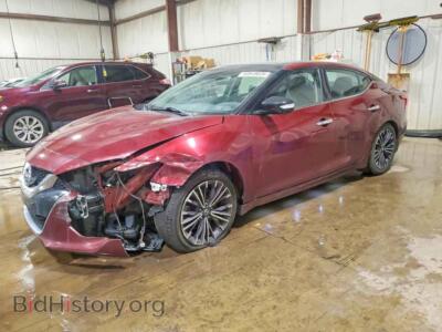 2017 Nissan MAXIMA Platinum, burgundy — VIN 1N4AA6AP9HC419156, Copart