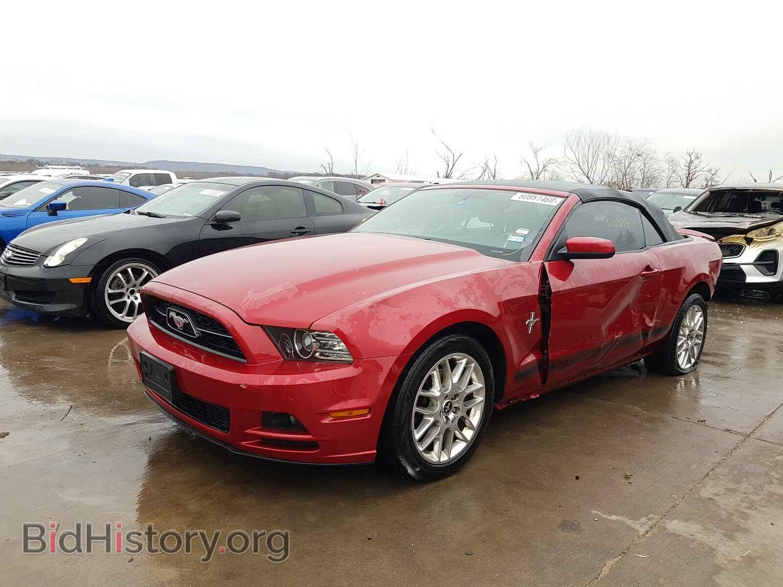 2013 FORD MUSTANG - VIN: 1ZVBP8EM4D5200769 - Фото 2