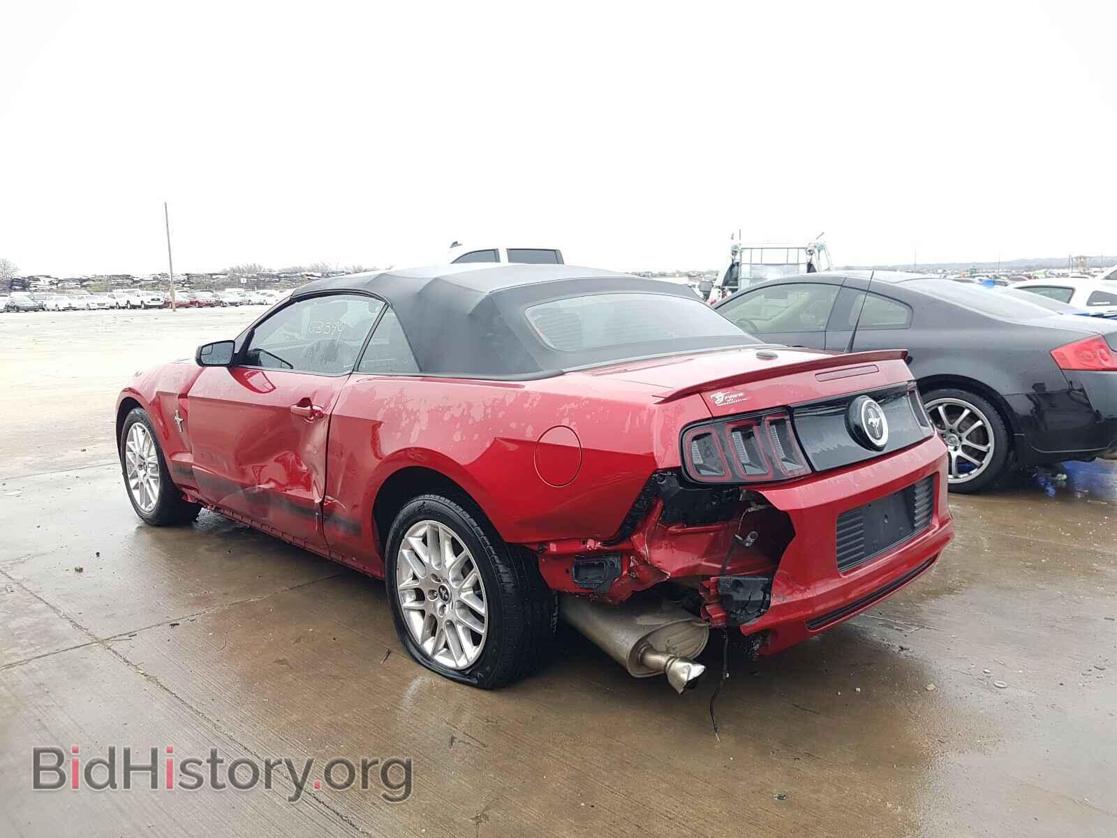 2013 FORD MUSTANG - VIN: 1ZVBP8EM4D5200769 - Фото 3
