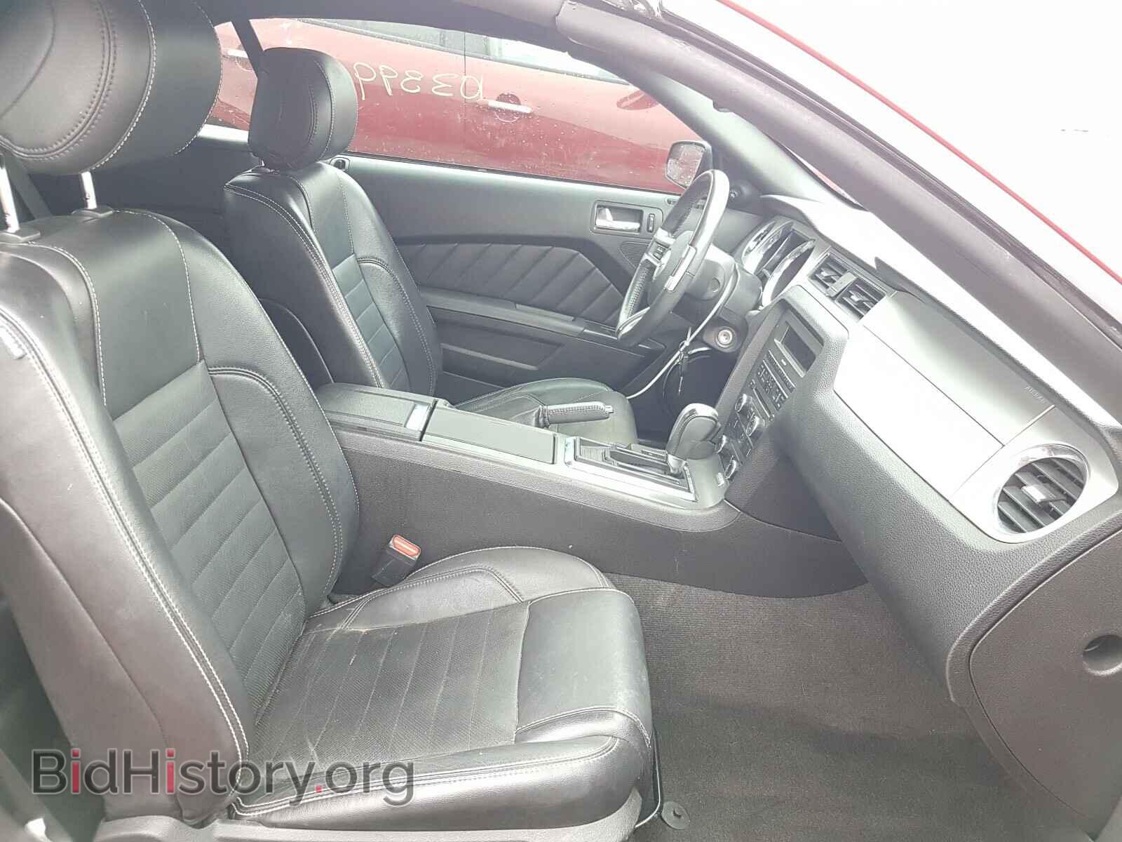 2013 FORD MUSTANG - VIN: 1ZVBP8EM4D5200769 - Фото 5