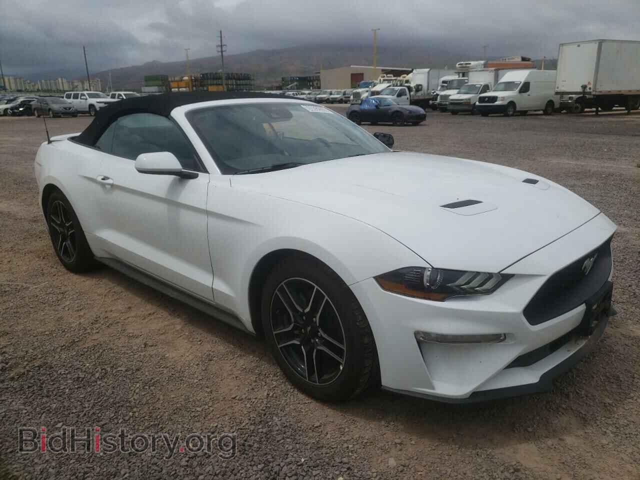 2023 FORD ALL Models - VIN: 1FATP8UH3P5108493 - Фото 4