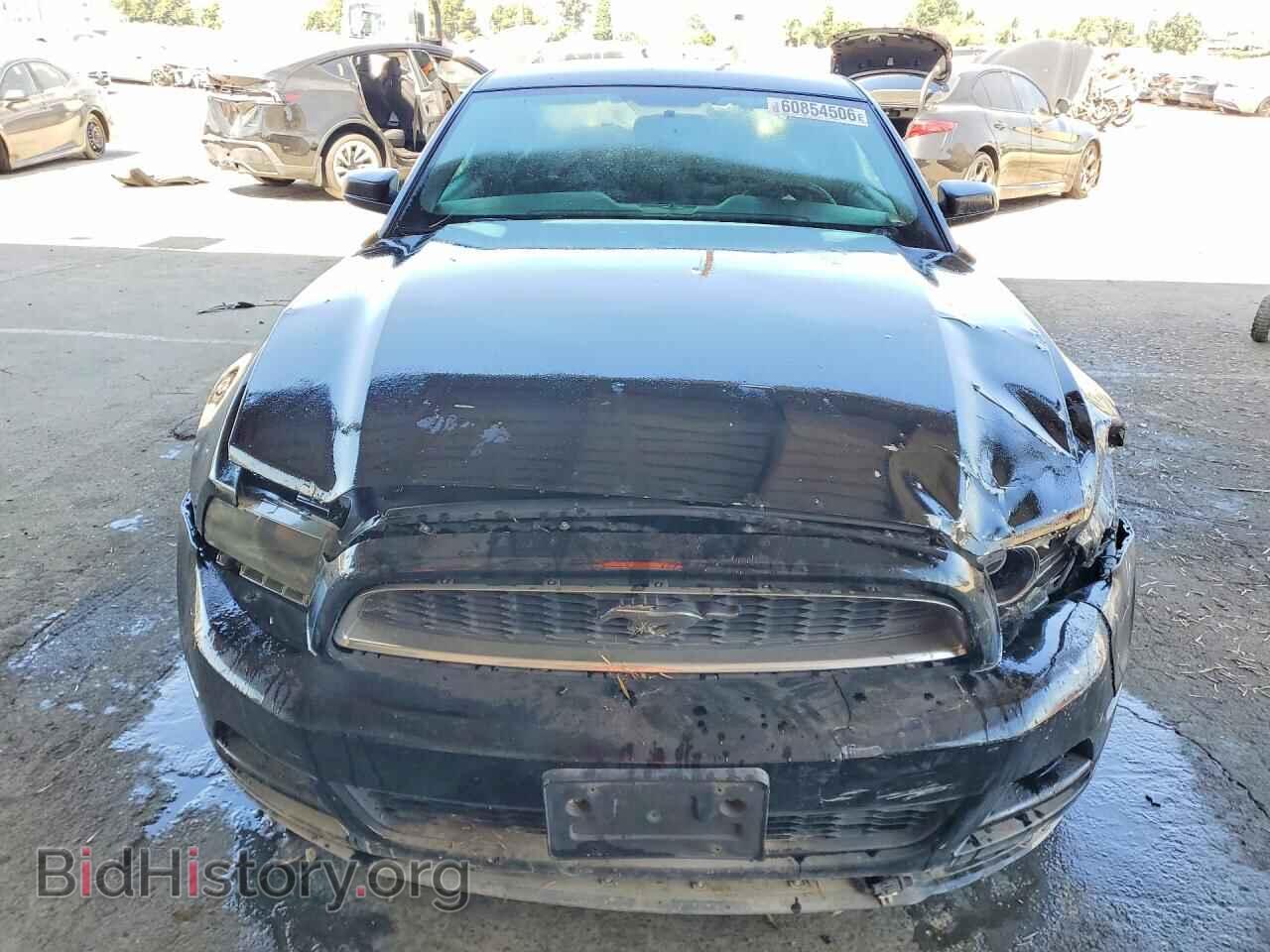 2013 FORD MUSTANG - VIN: 1ZVBP8AM4D5203161 - Фото 5