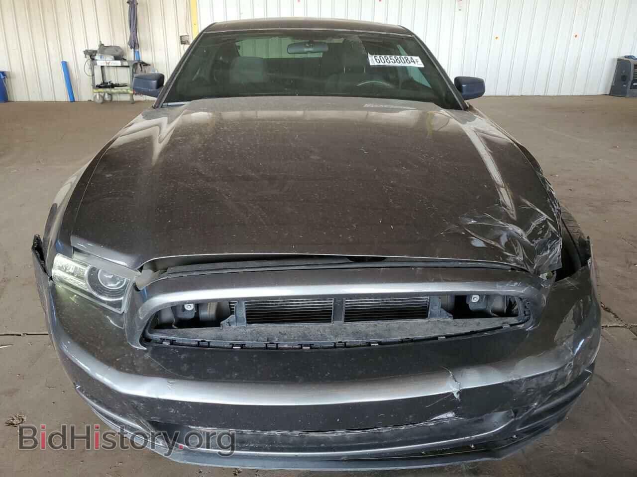 2013 FORD ALL Models - VIN: 1ZVBP8AM8D5248054 - Фото 5