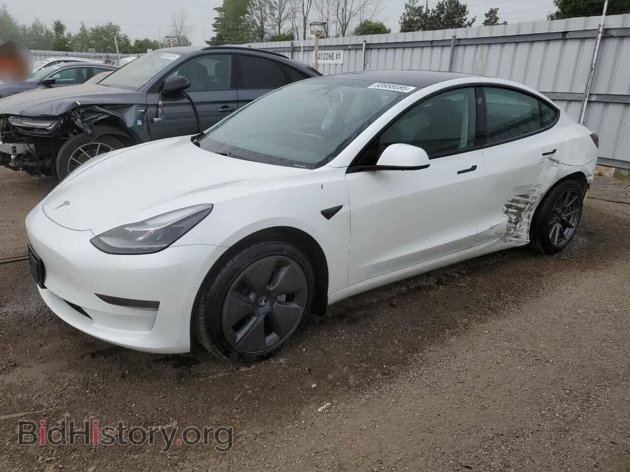 Photo 5YJ3E1EA6MF978676 - TESLA MODEL 3 2021