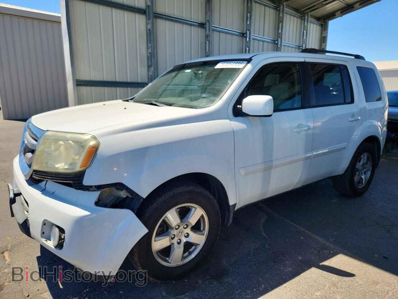 Фотография 5FNYF3H40BB033689 - HONDA PILOT 2011