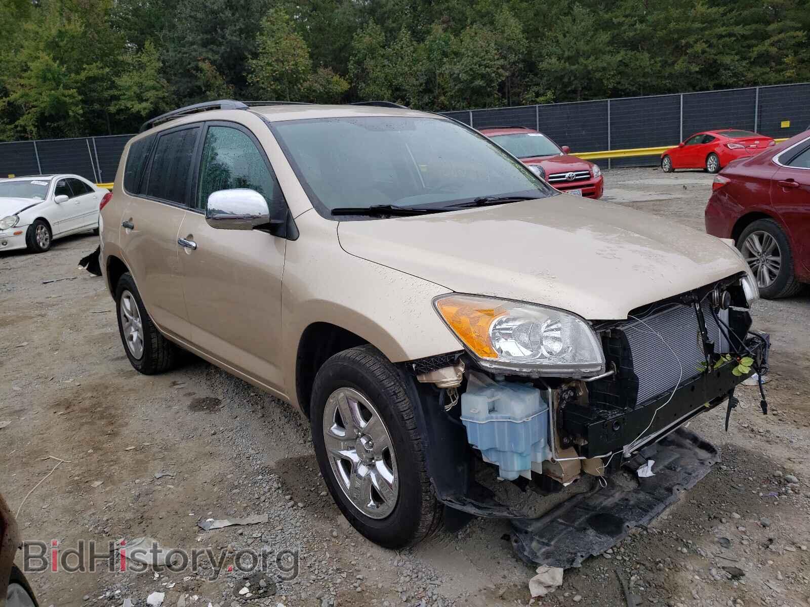 Фотография 2T3BF4DV1BW131716 - TOYOTA RAV4 2011