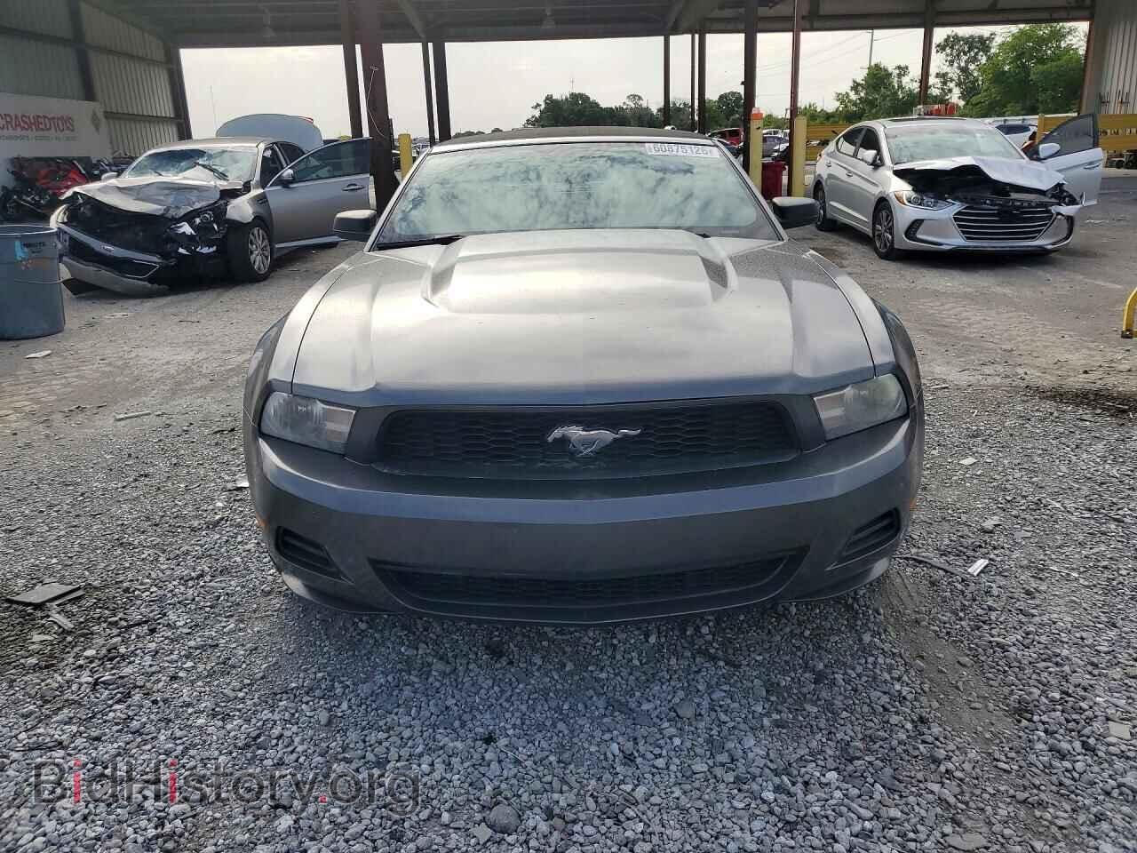 2010 FORD MUSTANG - VIN: 1ZVBP8EN5A5119865 - Фото 5