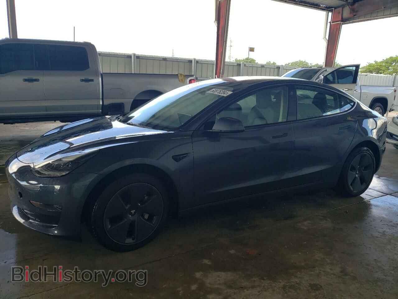 Photo 5YJ3E1EA7NF345346 - TESLA MODEL 3 2022