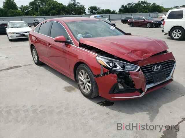 Photo 5NPE24AF0KH816612 - HYUNDAI SONATA 2019