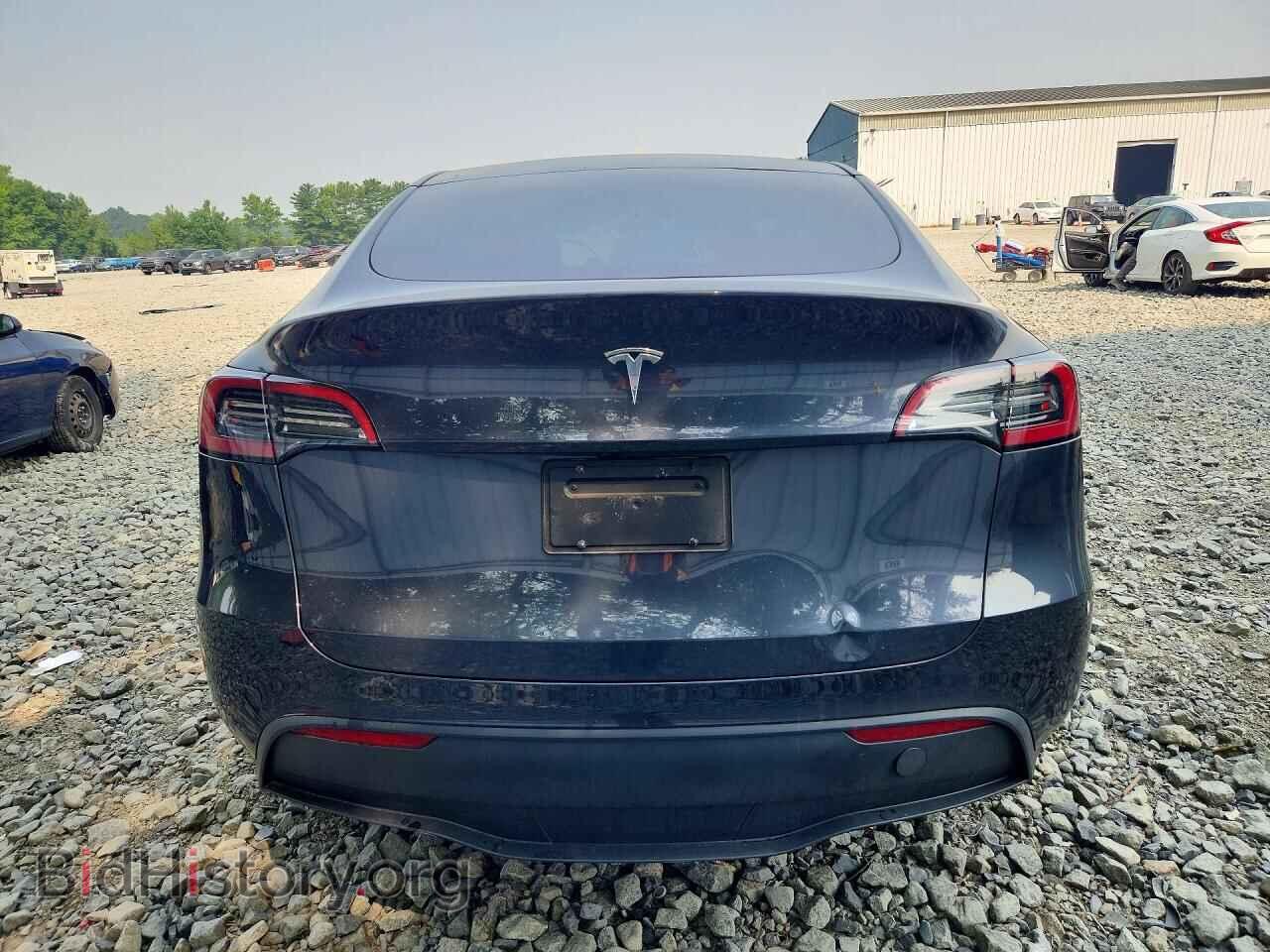 2024 TESLA MODEL Y - VIN: 7SAYGDED0RF191017 - Фото 6