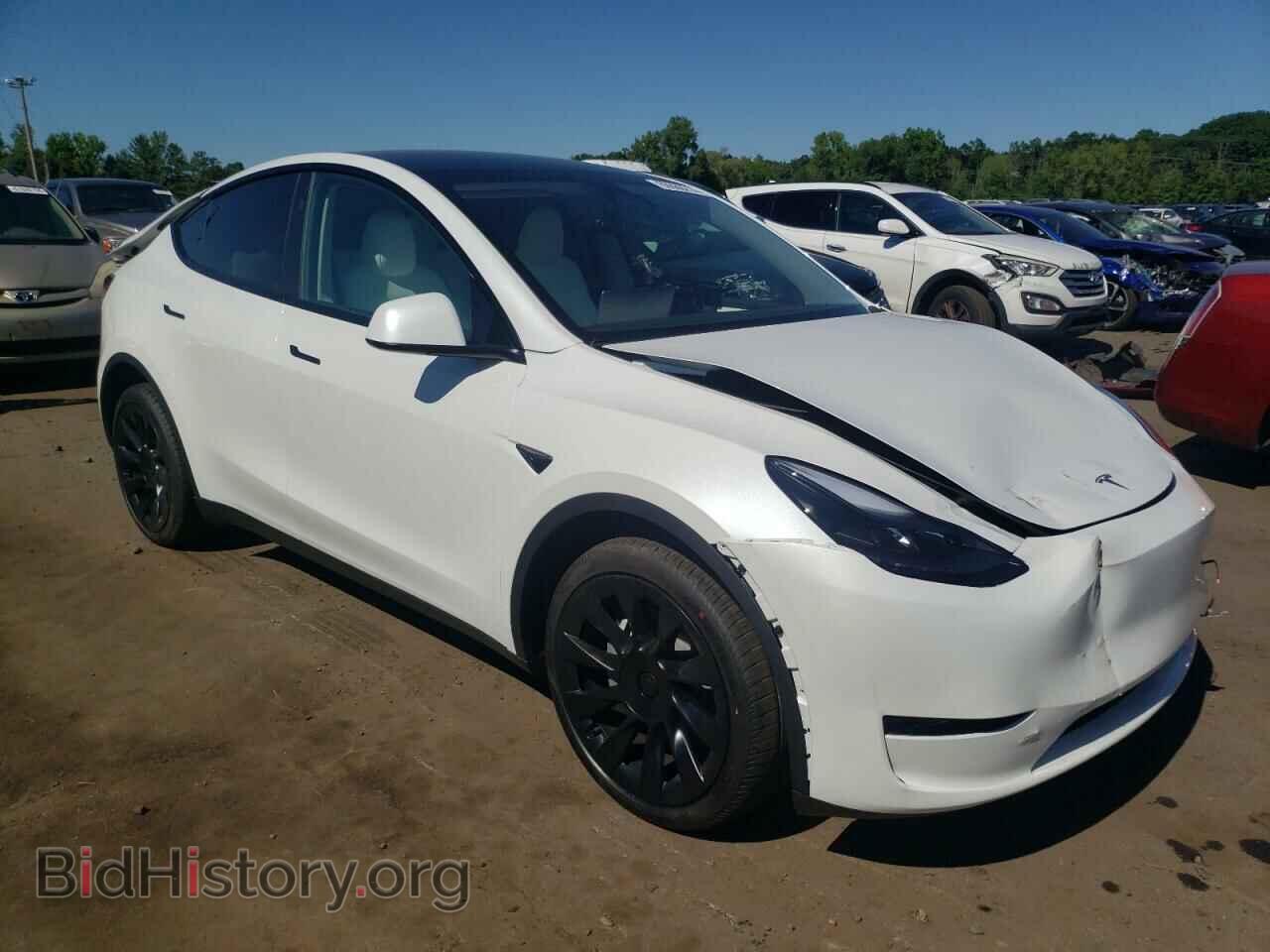 2024 TESLA MODEL Y - VIN: 7SAYGAEE0RF102554 - Фото 4
