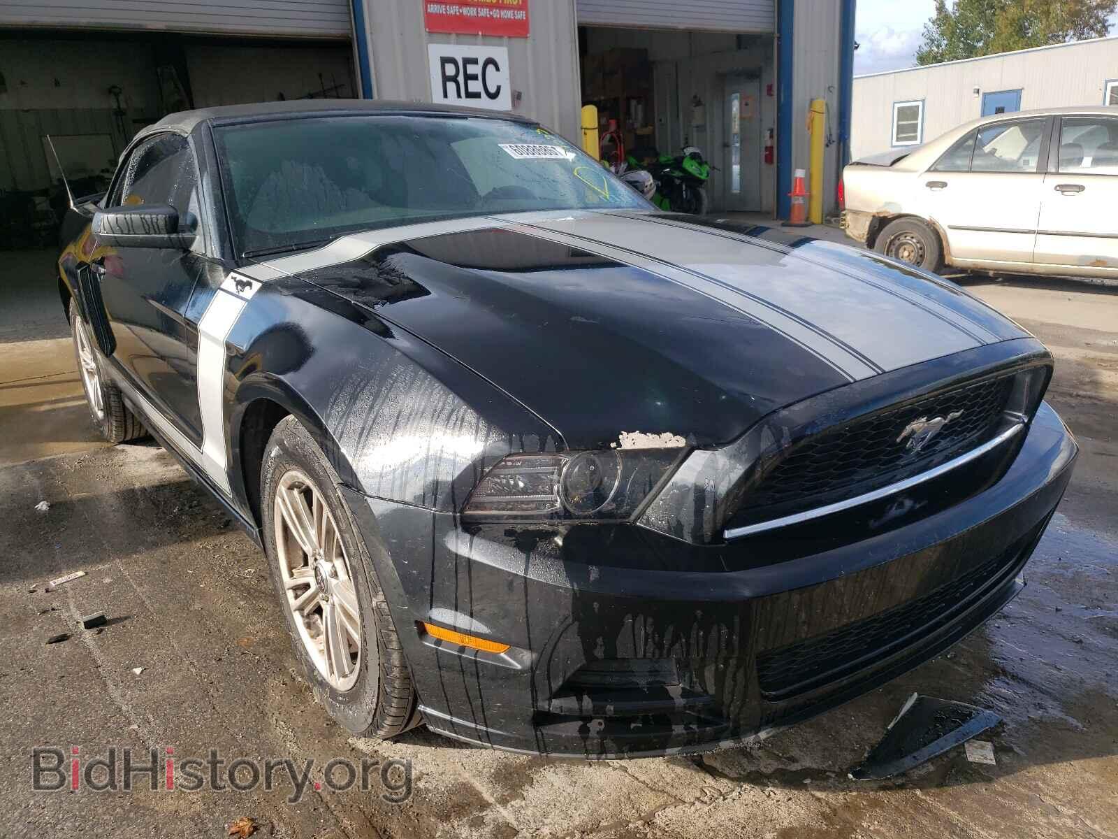 Фотография 1ZVBP8EM4E5202507 - FORD MUSTANG 2014