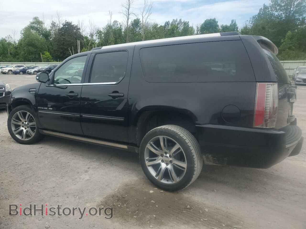 2013 CADILLAC ESCALADE - VIN: 1GYS4JEF6DR320113 - Фото 2
