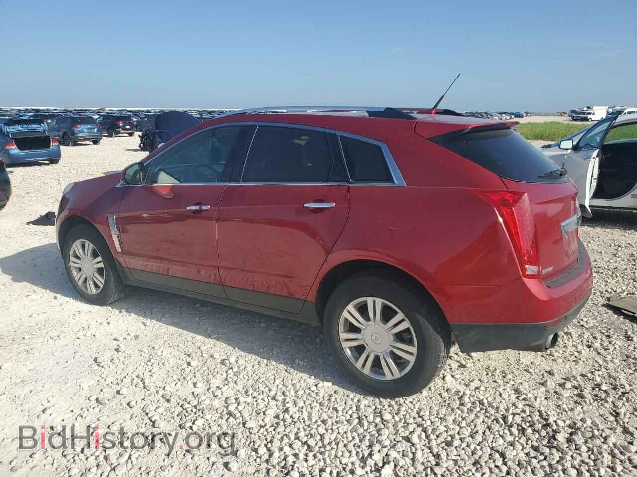 2012 CADILLAC SRX - VIN: 3GYFNAE34CS593907 - Фото 2