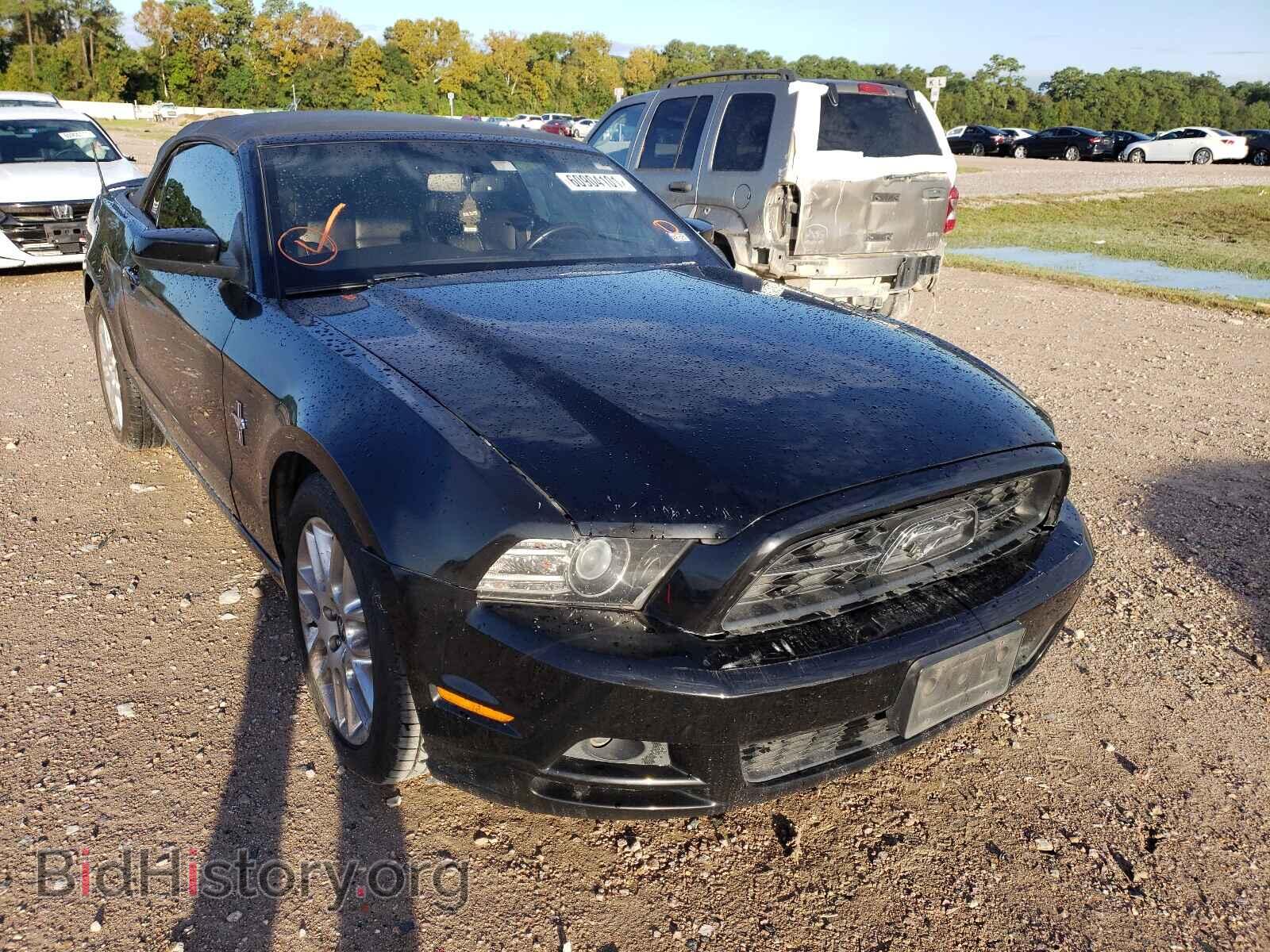 Фотография 1ZVBP8EM8D5206168 - FORD MUSTANG 2013