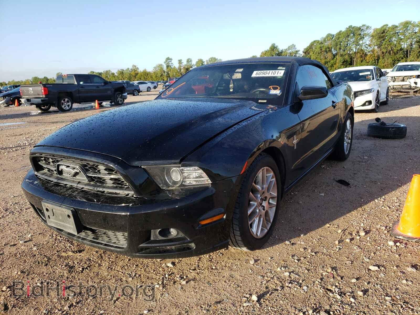 2013 FORD MUSTANG - VIN: 1ZVBP8EM8D5206168 - Фото 2