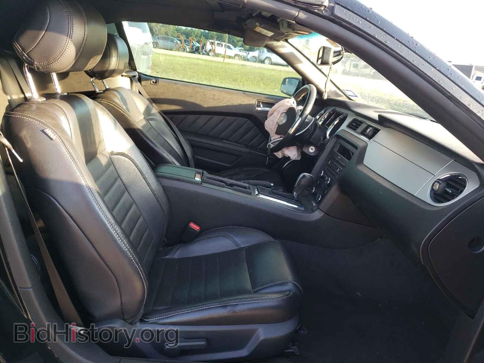 2013 FORD MUSTANG - VIN: 1ZVBP8EM8D5206168 - Фото 5