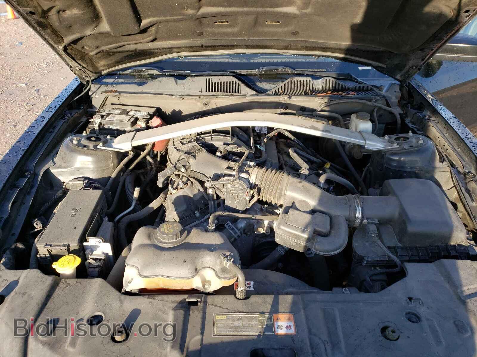 2013 FORD MUSTANG - VIN: 1ZVBP8EM8D5206168 - Фото 7