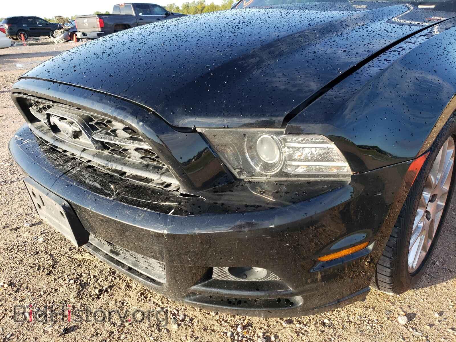 2013 FORD MUSTANG - VIN: 1ZVBP8EM8D5206168 - Фото 9