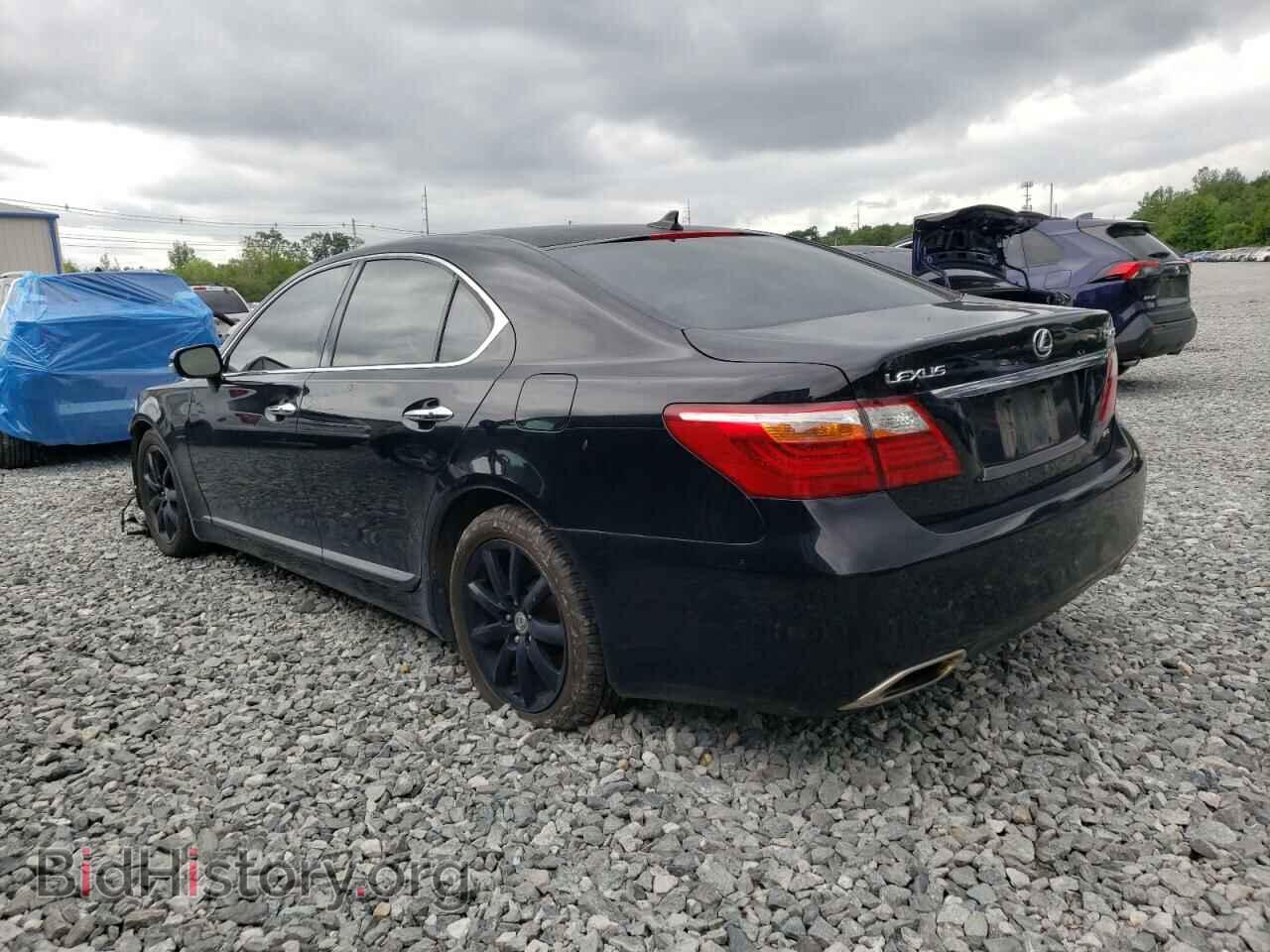 2010 LEXUS LS460 - VIN: JTHCL5EF6A5006984 - Photo 2