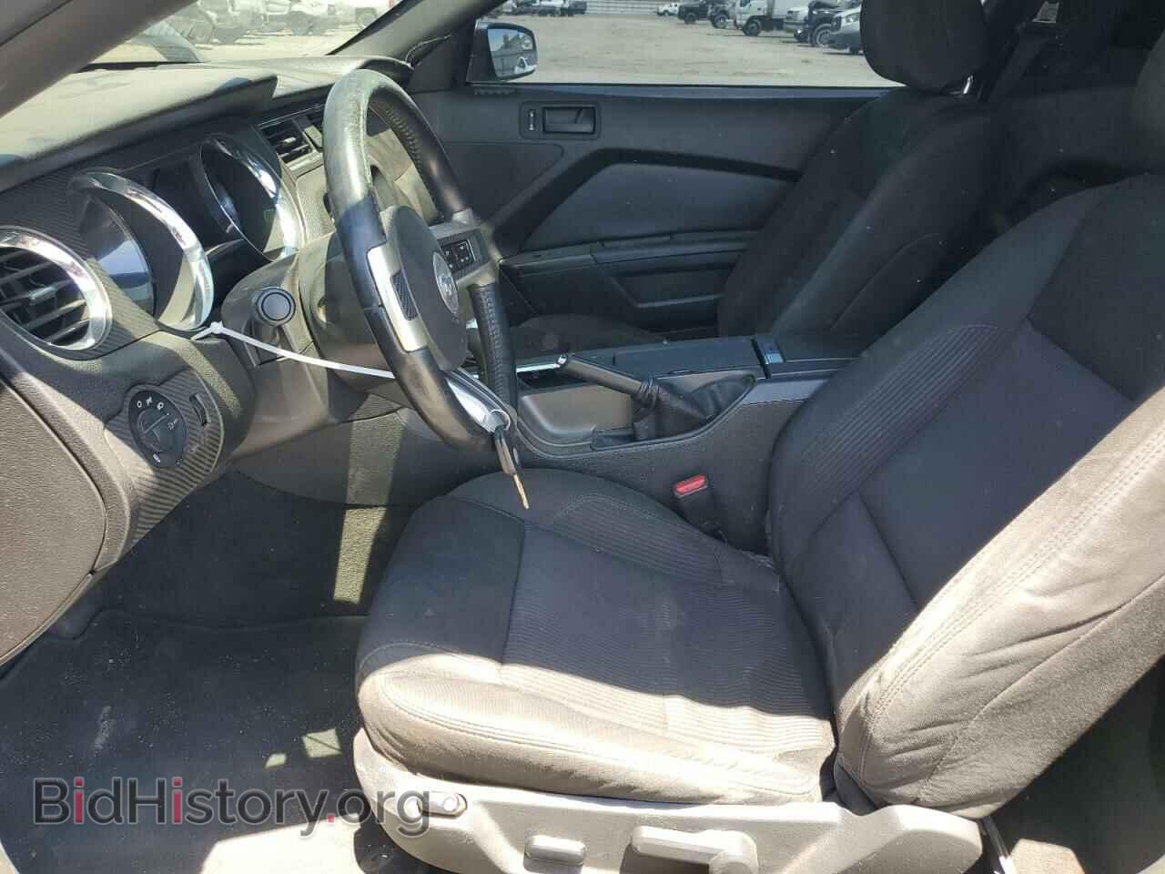 2013 FORD MUSTANG - VIN: 1ZVBP8CF4D5236319 - Фото 7