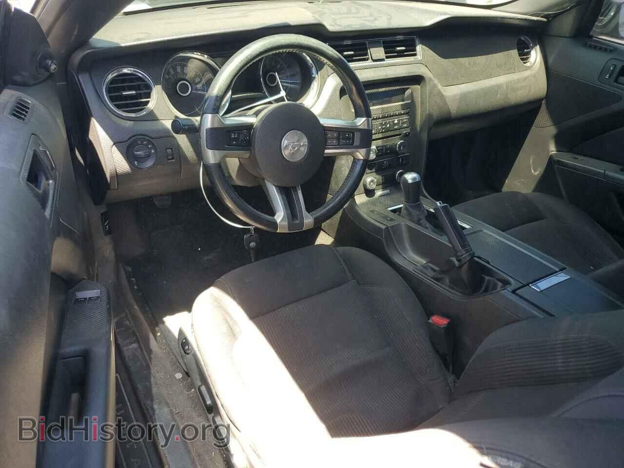 2013 FORD MUSTANG - VIN: 1ZVBP8CF4D5236319 - Фото 8