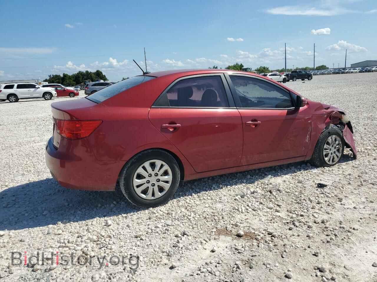 2011 KIA FORTE - VIN: KNAFU4A28B5455123 - Фото 3