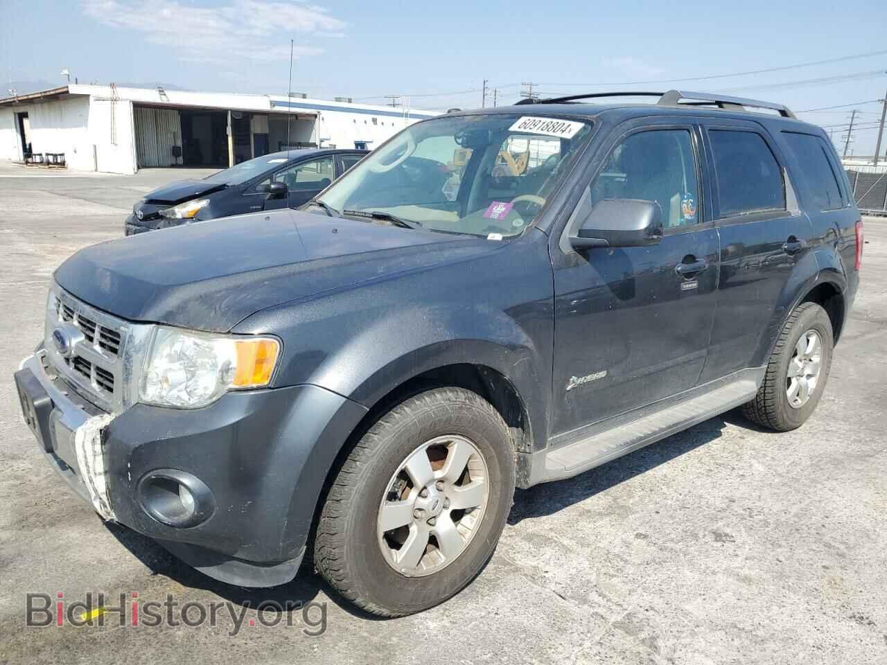 Фотография 1FMCU493X9KB03901 - FORD ESCAPE 2009