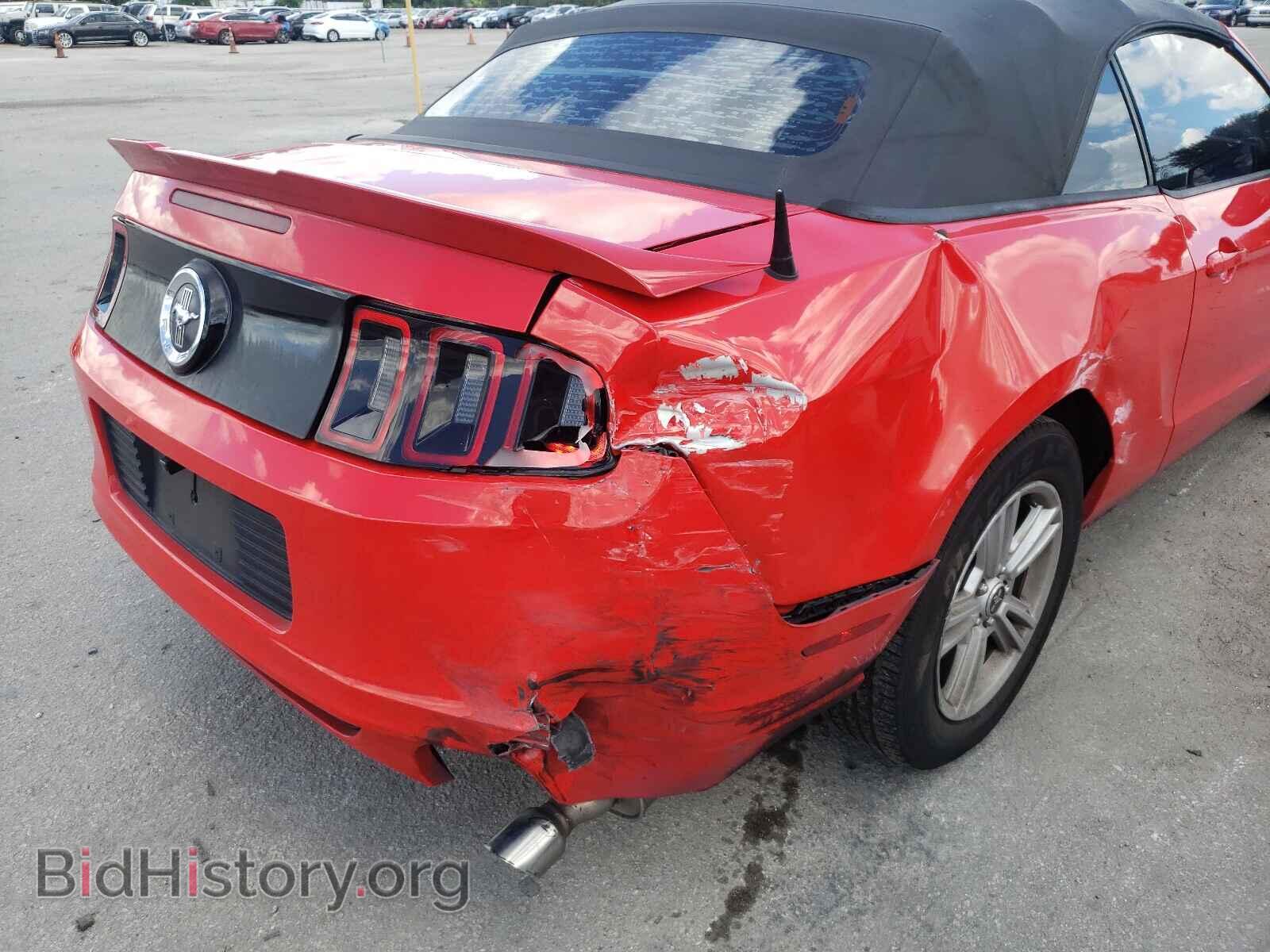 2014 FORD MUSTANG - VIN: 1ZVBP8EM6E5266516 - Фото 9