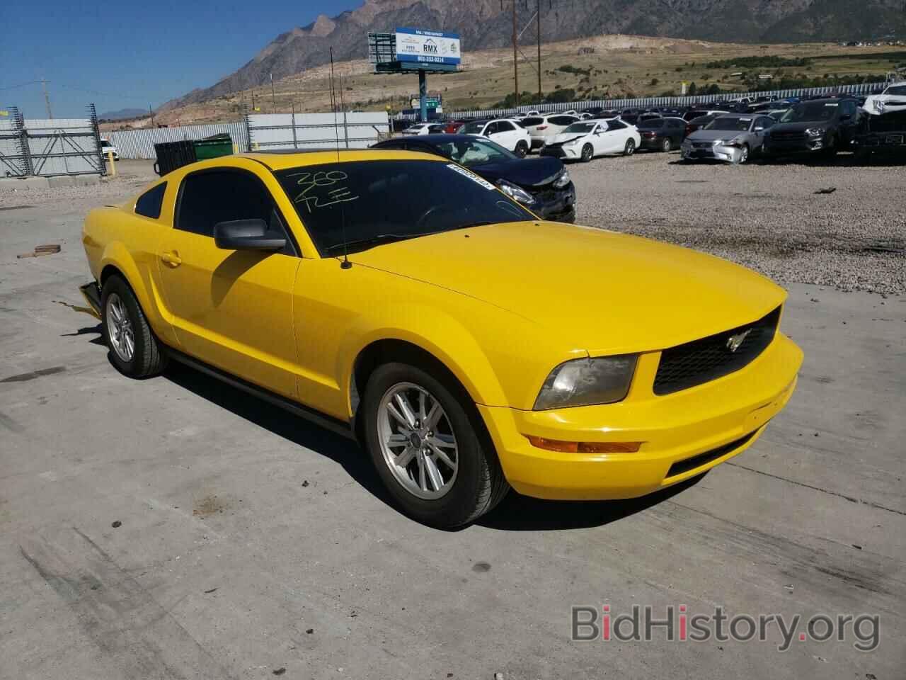 Photo 1ZVFT80NX65180981 - FORD MUSTANG 2006