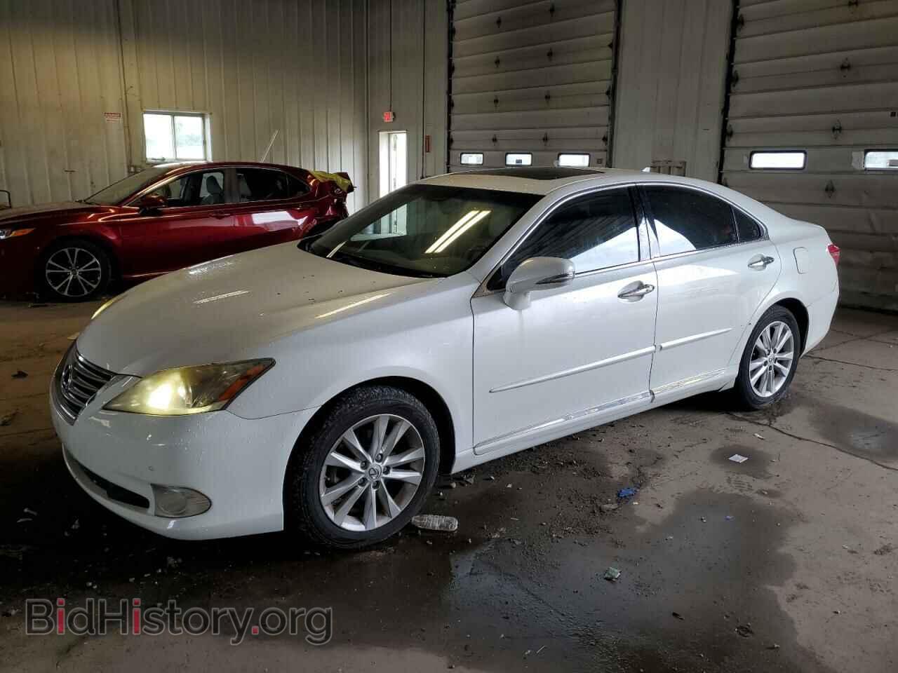 Photo JTHBK1EG8A2396553 - LEXUS ES350 2010