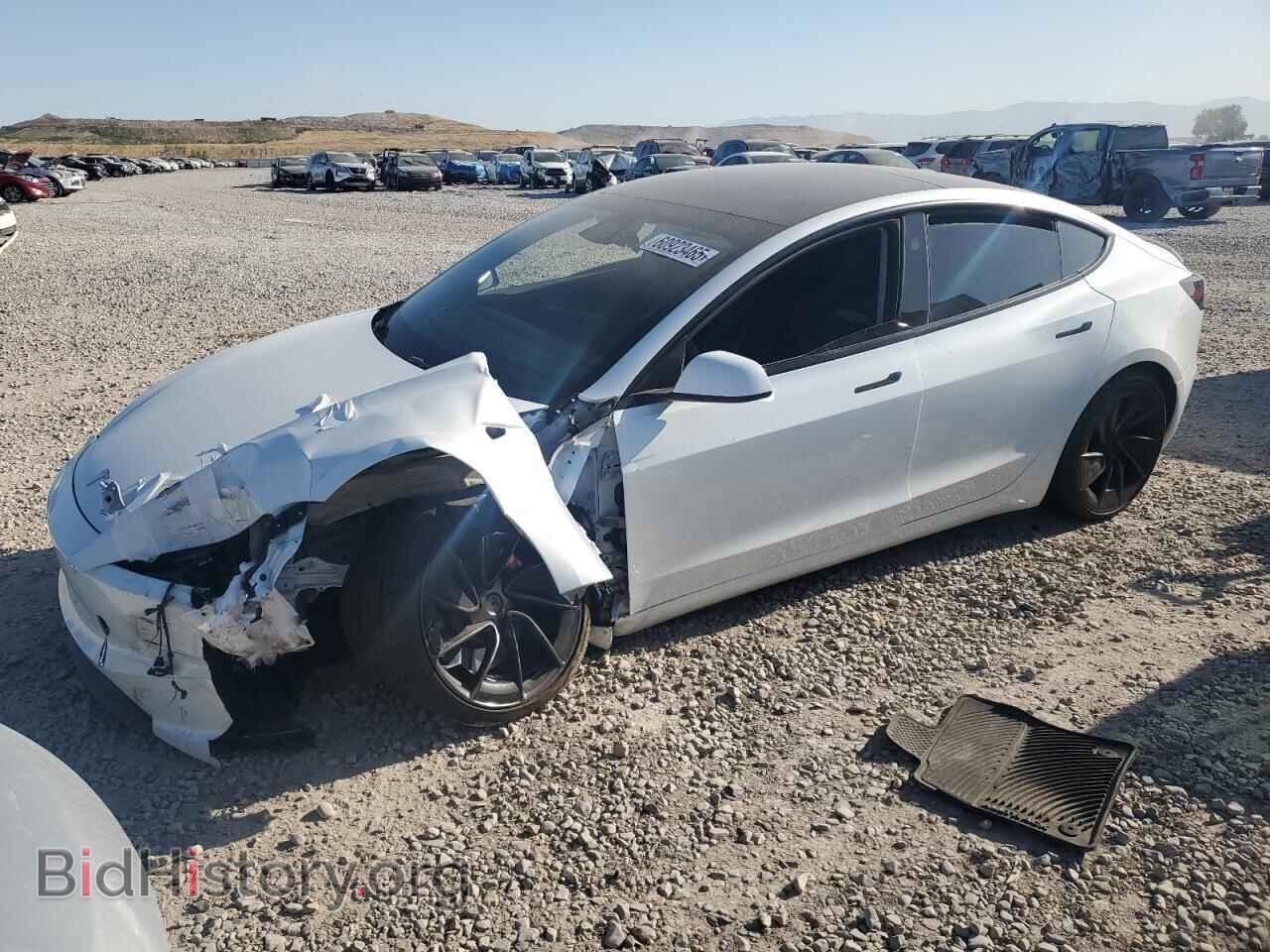 Photo 5YJ3E1ET4RF861347 - TESLA MODEL 3 2024