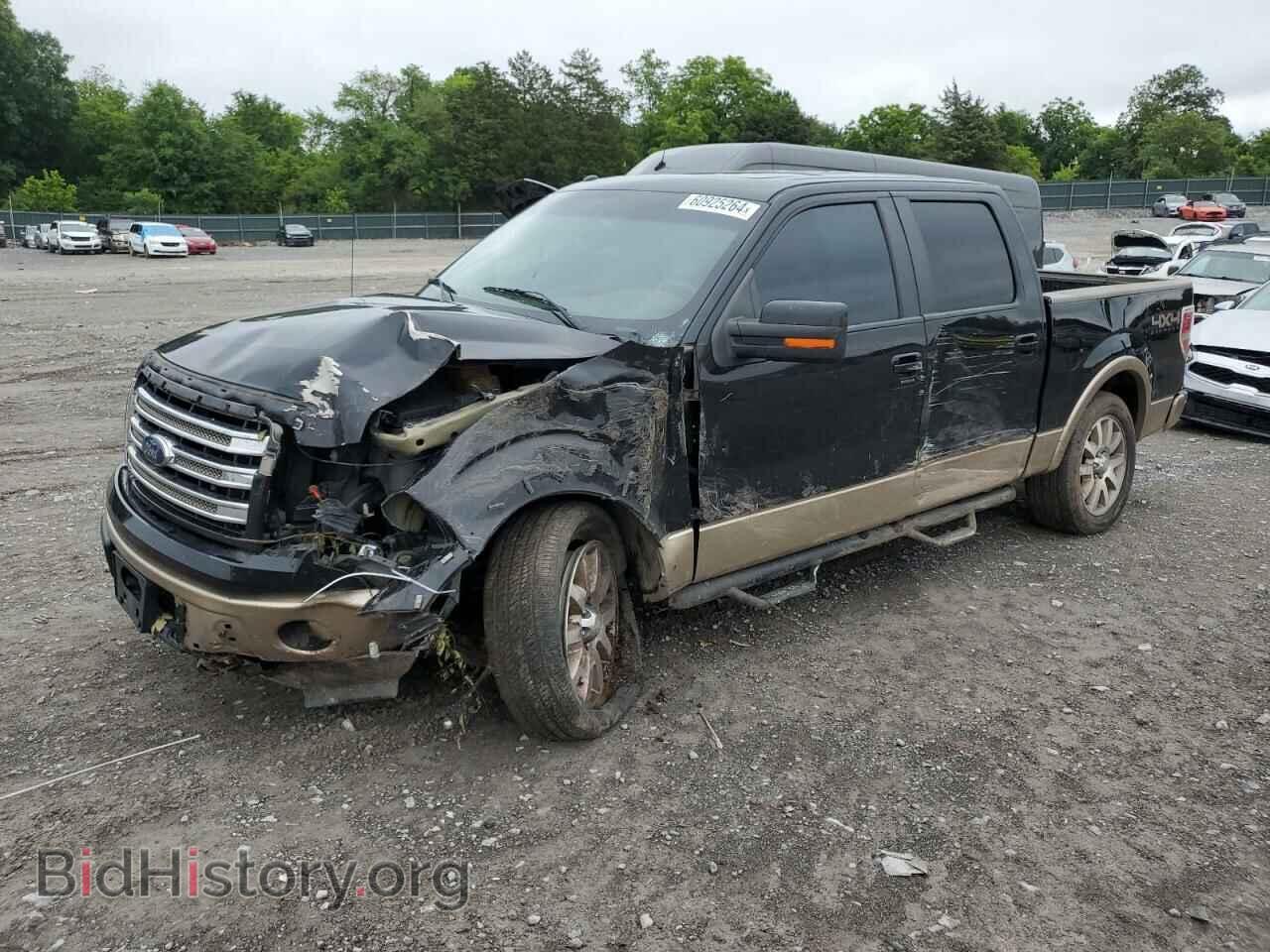Фотография 1FTFW1EF5DKD58975 - FORD F-150 2013