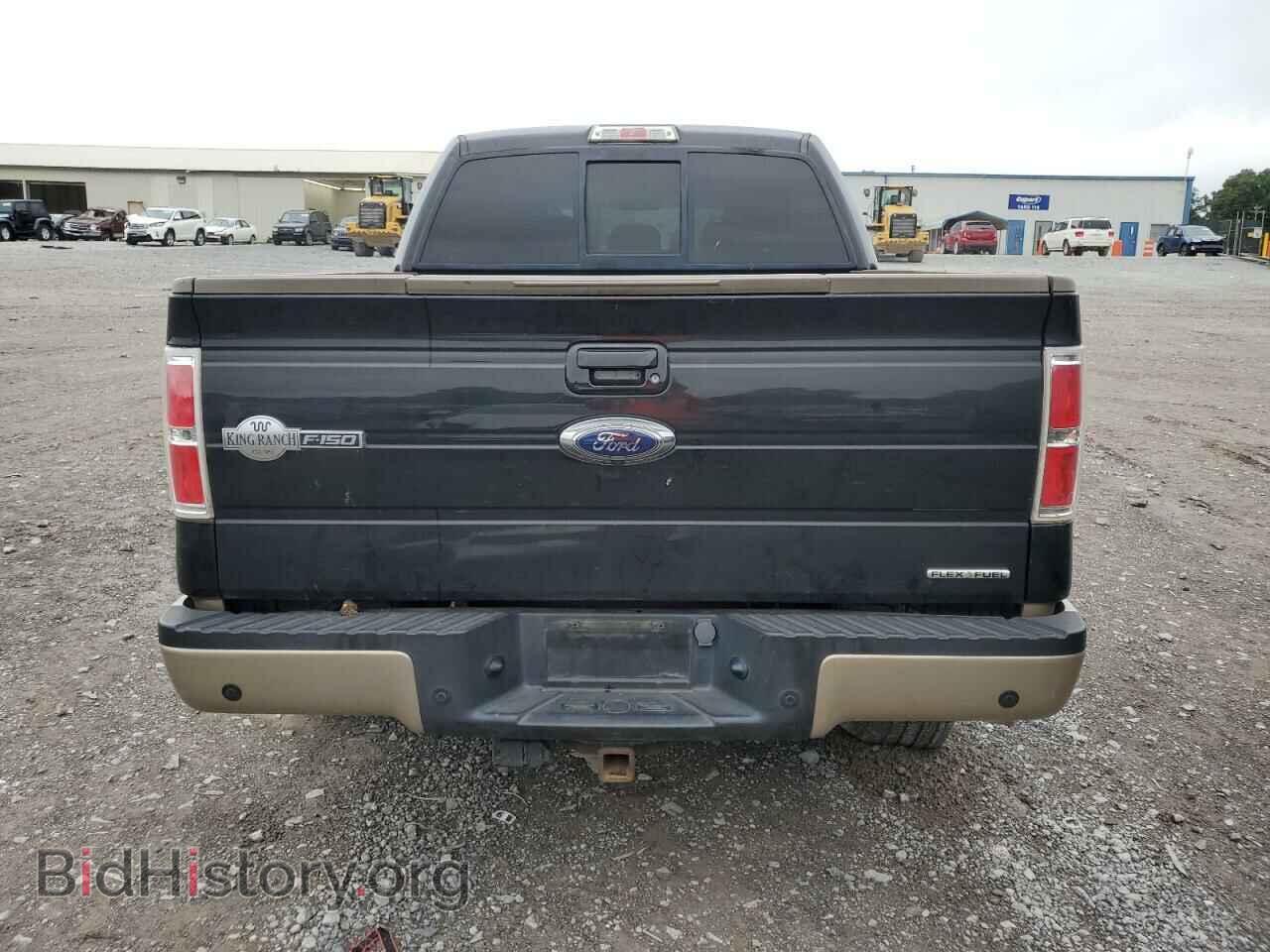 2013 FORD F-150 - VIN: 1FTFW1EF5DKD58975 - Фото 6