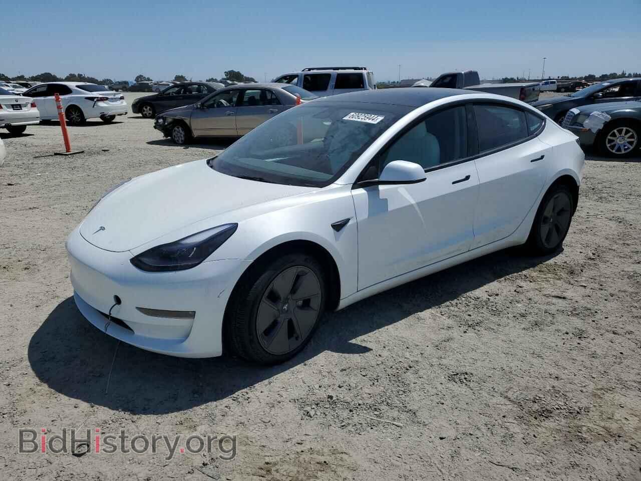 Photo 5YJ3E1EB4PF456514 - TESLA MODEL 3 2023