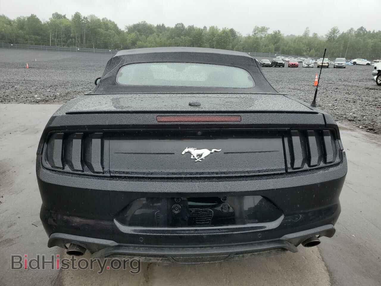 2019 FORD ALL Models - VIN: 1FATP8UH5K5159163 - Photo 6