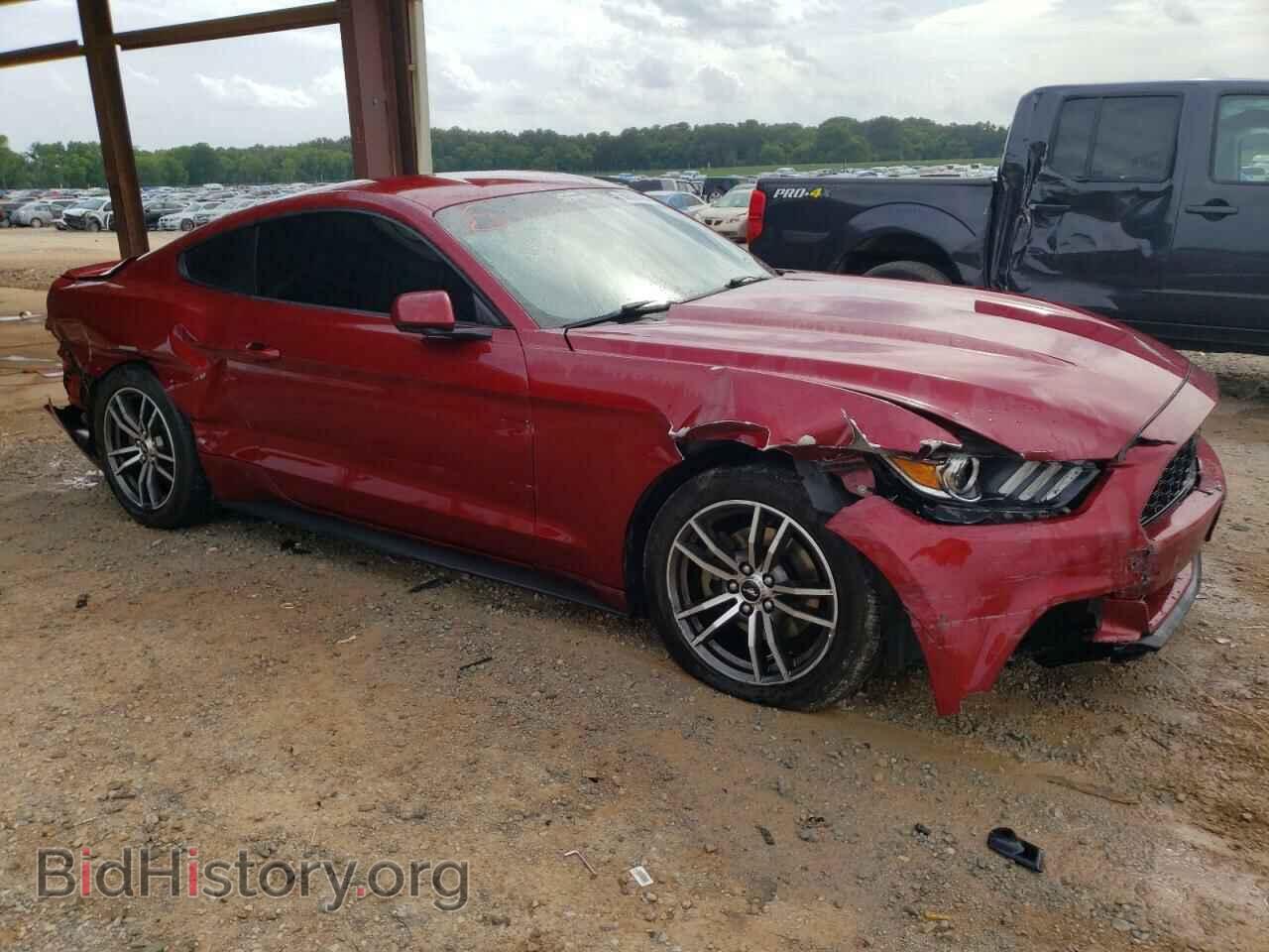 2017 FORD ALL Models - VIN: 1FA6P8TH6H5320384 - Фото 4