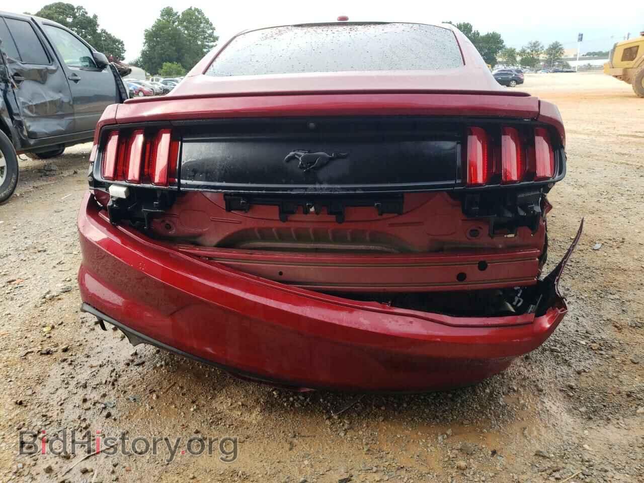 2017 FORD ALL Models - VIN: 1FA6P8TH6H5320384 - Фото 6