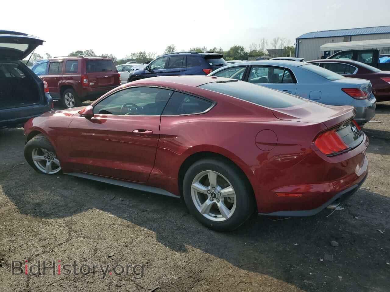 2019 FORD ALL Models - VIN: 1FA6P8THXK5166589 - Photo 2