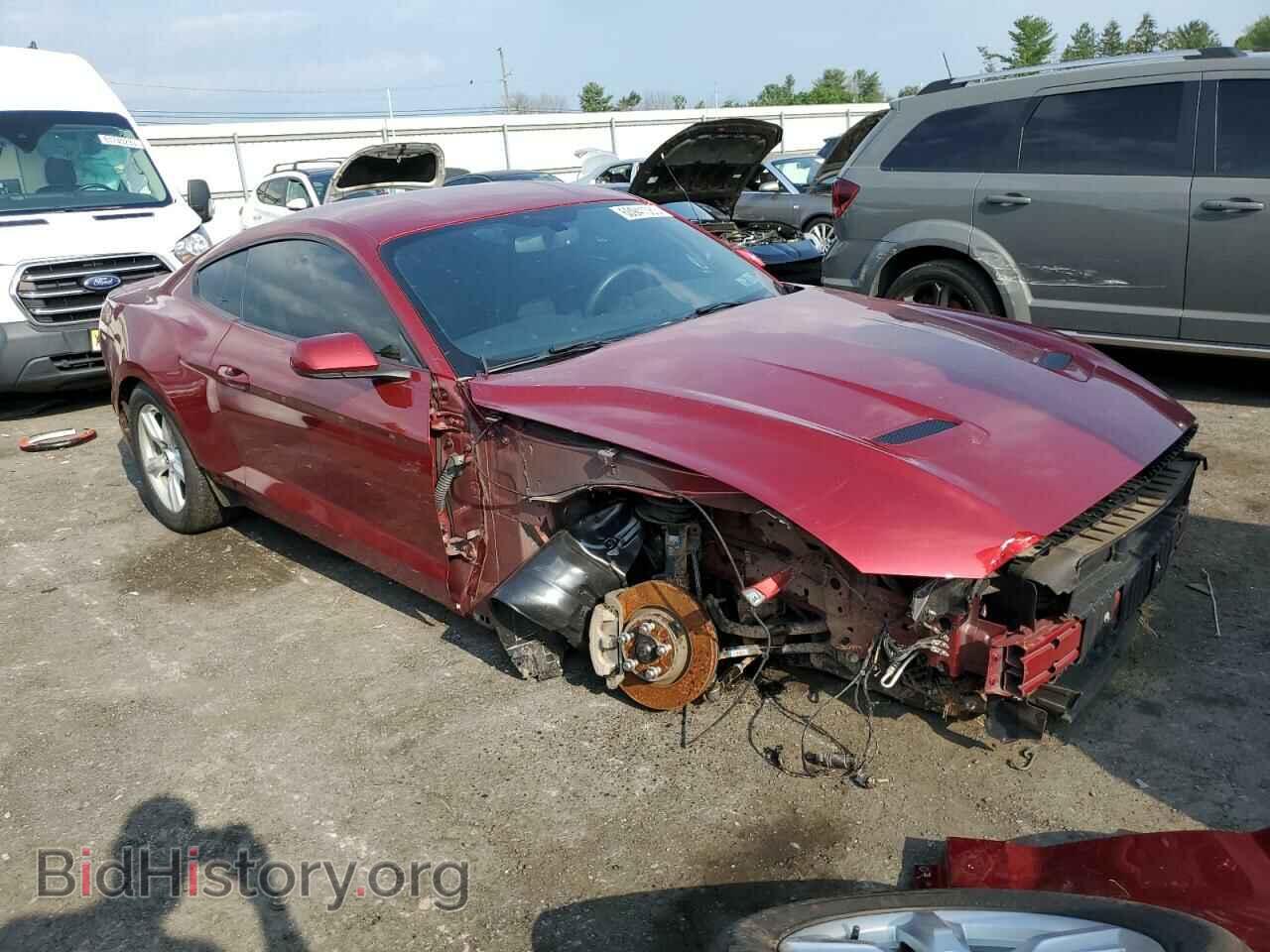 2019 FORD ALL Models - VIN: 1FA6P8THXK5166589 - Photo 4