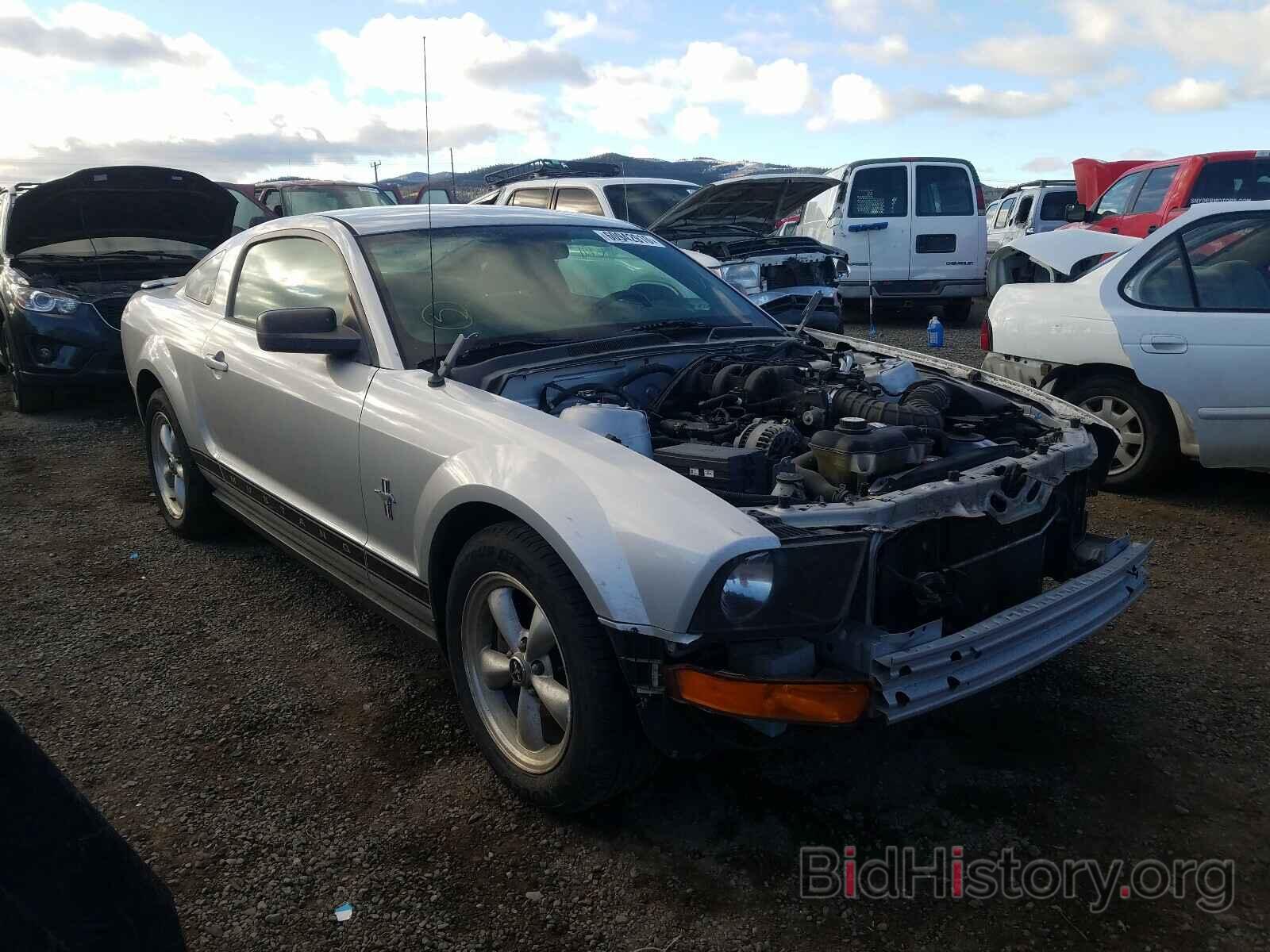 Photo 1ZVHT80NX75363808 - FORD MUSTANG 2007