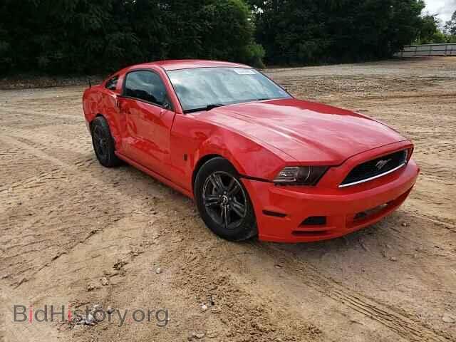 2014 FORD ALL Models - VIN: 1ZVBP8AM0E5241665 - Фото 13