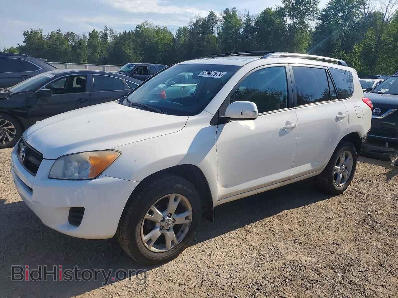 Фотография 2T3BF4DV6CW202989 - TOYOTA RAV4 2012