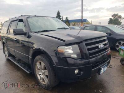2009 Ford EXPEDITION, черный — VIN 1FMFU20559EA86861, Copart